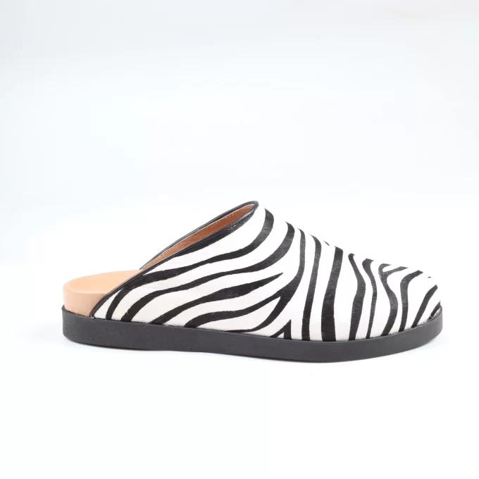 Vera zebra